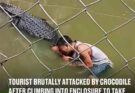 Tourist’s selfie stunt in crocodile enclosure takes deadly turn