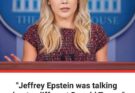 “Jeffrey Epstein was talking about a different Donald Trump” insists White House